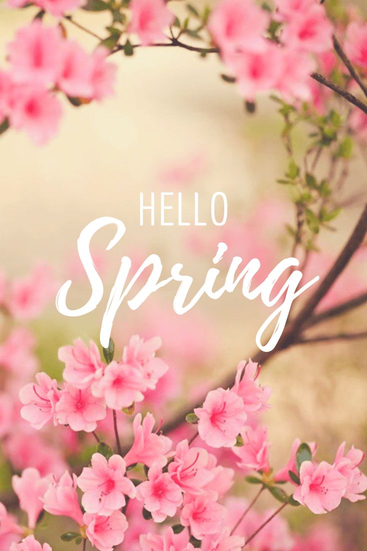 Its spring time wallpaper Resolution 735x1102 | Best Download this awesome wallpaper - Cool Wallpaper HD - CoolWallpaper-HD.com