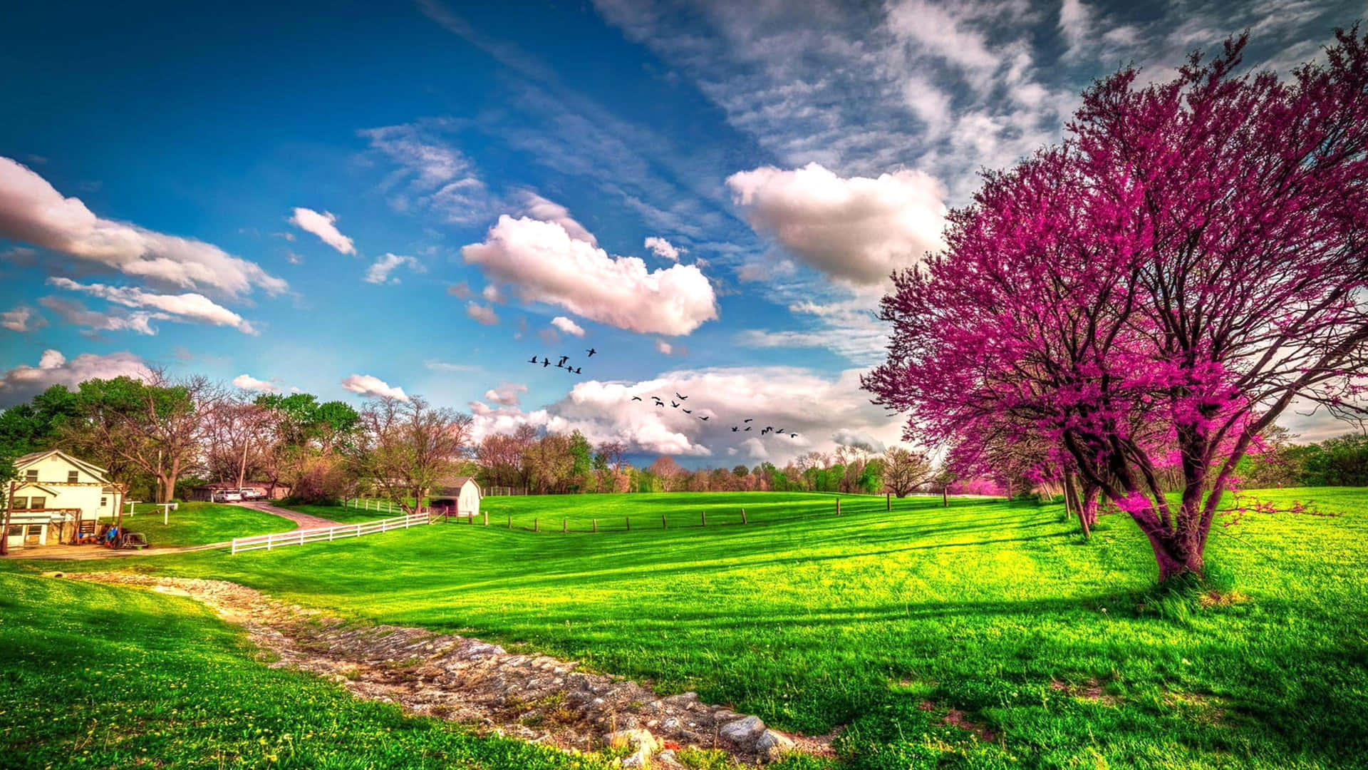 Spring season wallpaper Resolution 1920x1080 | Best Download this awesome wallpaper - Cool Wallpaper HD - CoolWallpaper-HD.com