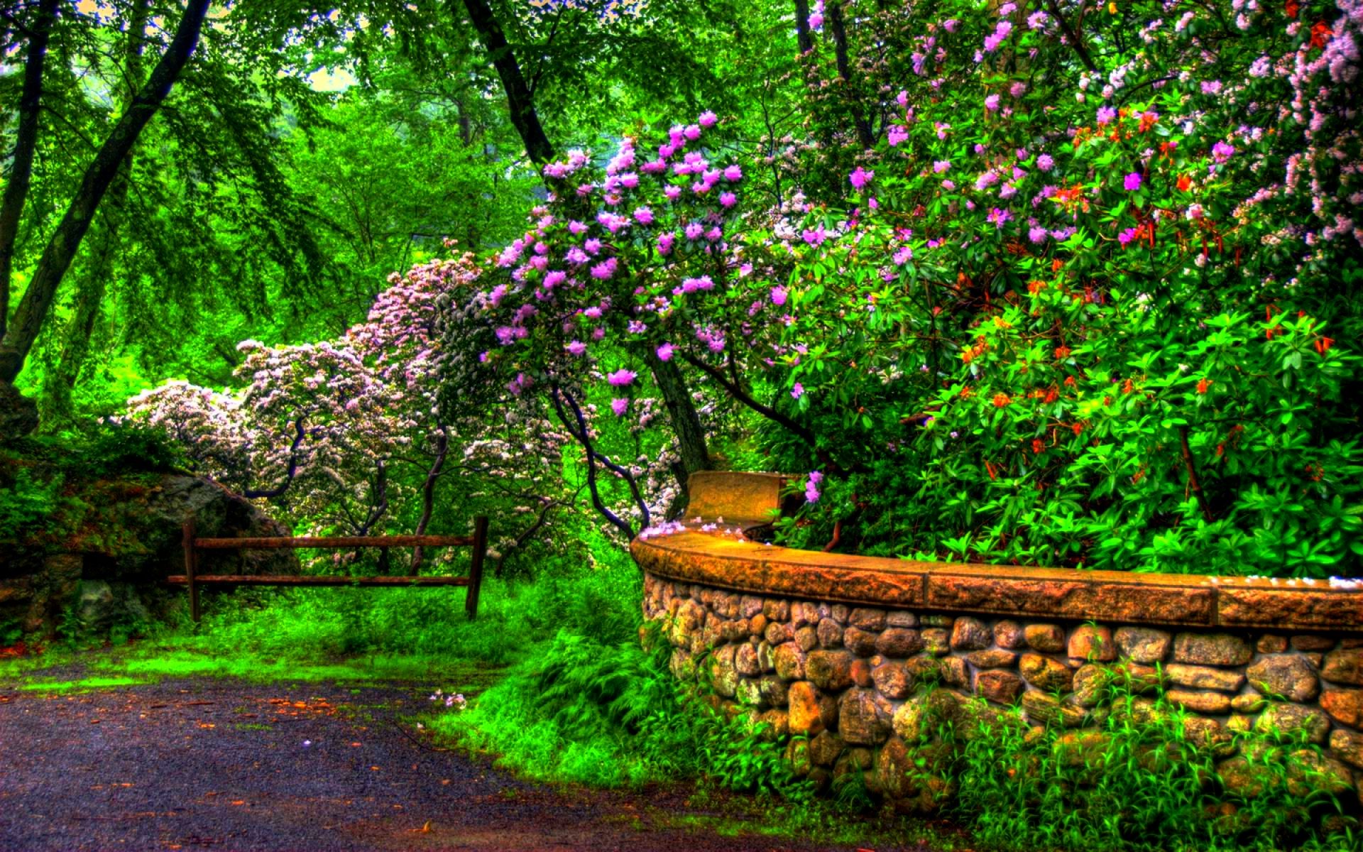 Spring view wallpaper Resolution 1920x1200 | Best Download this awesome wallpaper - Cool Wallpaper HD - CoolWallpaper-HD.com