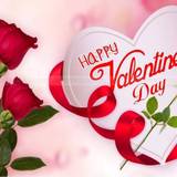 Happy Valentines Day High Quality Top Hd Wallpapers For Mobile Phones : Wallpapers13