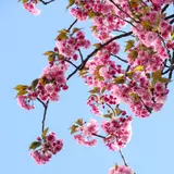 Spring Backgrounds Photos, Download The BEST Free Spring Backgrounds Stock Photos & HD Image