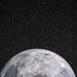 Full moon Wallpapers 4K, Forest, Night, Dark, Starry sky,