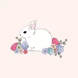 Spring bunny desktop wallpapers