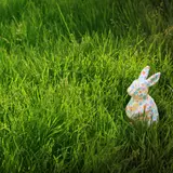 Easter Nature Wallpapers