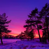 Winter Sunset Desktop Wallpapers