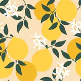 Cheerful lemon fruit and white blossom