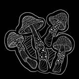 Trippy World of Mushrooms