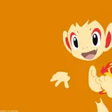 Chimchar HD Wallpapers