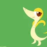 Snivy HD Wallpapers