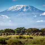 Kilimanjaro Wallpapers