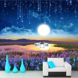 The ultimate beauty of the beautiful dream romantic night painting
