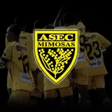 ASEC Mimosas Wallpapers