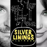 Silver Linings Playbook Wallpapers