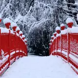 Red Winter Desktop Wallpapers